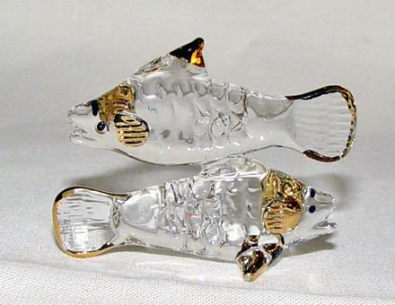 Picture of Fish - Zodiac