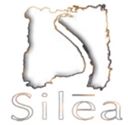 Picture for category Silea