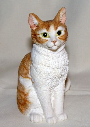 Picture of Cat
